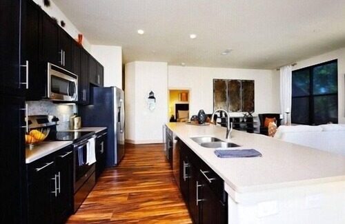 Astrodome Apartment | 2Bd/2Bth Hermann Park @ Med Ctr