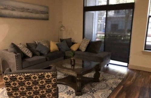 Astrodome Apartment | 2Bd/2Bth Hermann Park @ Med Ctr