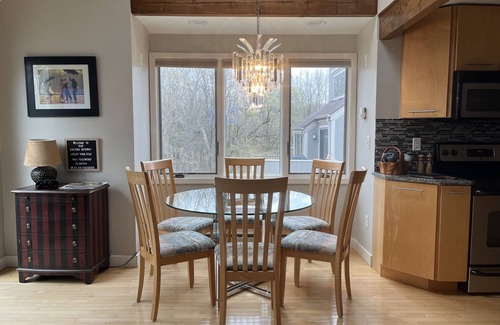 The Galena Territory House | 2BR 2BA + 3rd BR loft cozy end unit lakefront townhome comfortably sleeps 6!