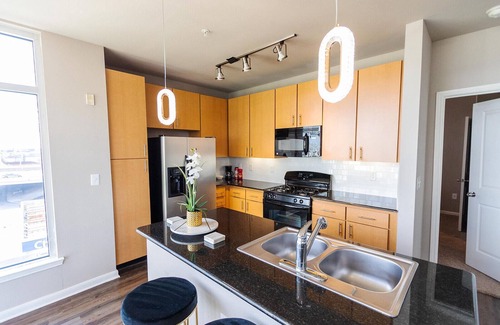 Greenway Plaza-Upper Kirby Apartment | 2BR Galleria Skyline views