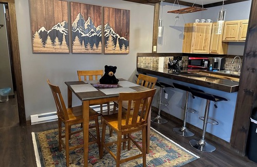 Lake Placid Condo | 2br Modern Condo #8 Walk to Main St & Mirror Lake