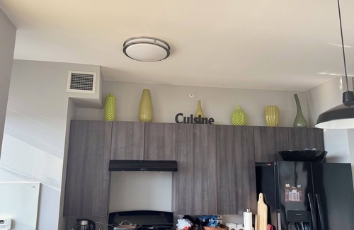 Prairie District Apartment | 2BR South Loop Apt—Walk to Lake, Museums, Aquarium + Pool, Gym, WiFi, & Conv Ct