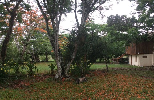 Billy White House | 2nd story. Secluded. deck. 90 acres. Bus at gate. Coconuts. Birds. Grill. Hike
