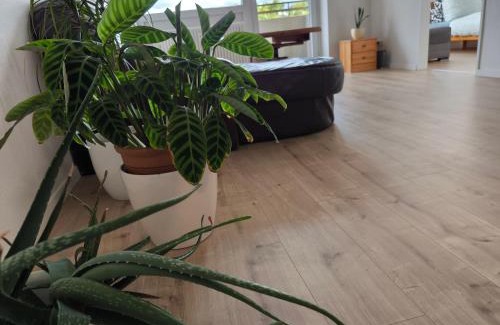 Delmenhorst Apartment | 2RoomStay