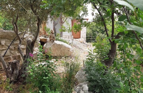 Kfardebian Cabin | 3.0 km Jouz River Mseilha Hiking, À La Belle Étoile
