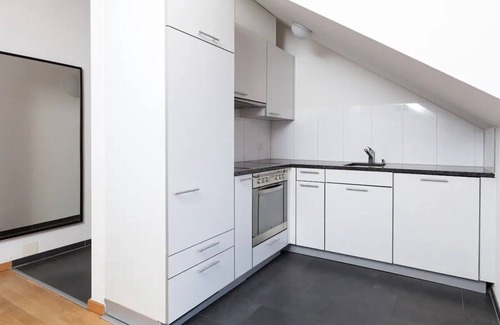 Wallisellen Apartment | 3.5-Room Sunrise Terrace Haven (FR-32)