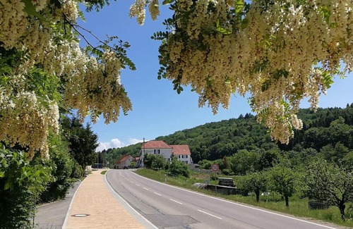 Klettgau Apartment | 3,5 Z-Wohnung, 2 Schlafzimmer für 4 Personen, 30 Min Zürich