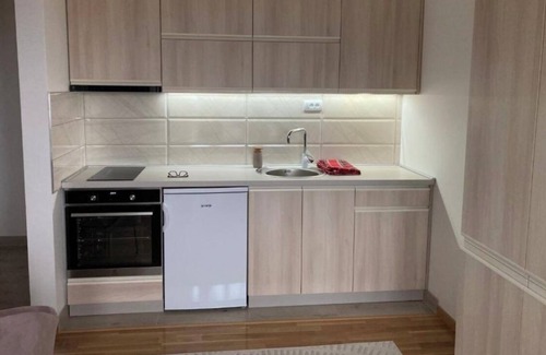 Zlatibor House | 3 apartments, located at the same floor. 4-bedroom house close to Uvac meanders.