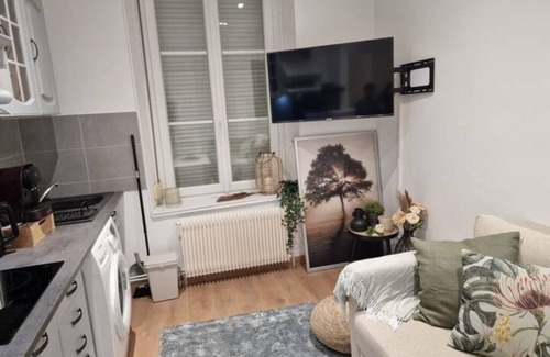 Reims Apartment | 3-Beautiful apartment in Reims for 4 travellers