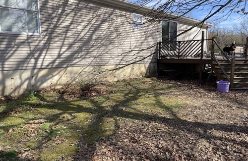 Akin House | 3 bed, 2 bath house in a country setting! Ready for the eclipse!