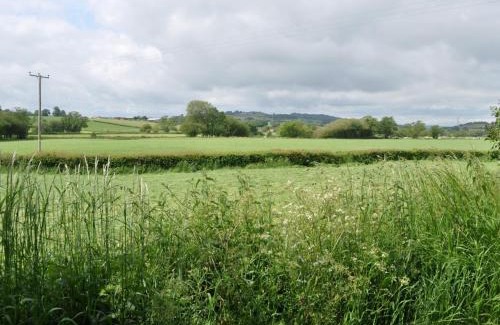 Axminster House | 3 bed property in Axminster BLOCO