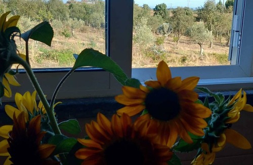 Santiago do Cacem House | 3 bedroom private vacation home in sã£o bartolomeu da serra