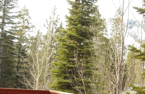 North Upper Truckee House | 3 bedroom 2 bath Tahoe Chalet style home in a quiet neighborhood sleeps 8