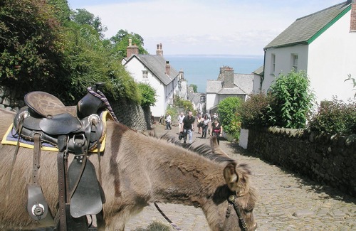 Buckland Brewer Cottage | 3 bedroom accommodation in Buckland Brewer