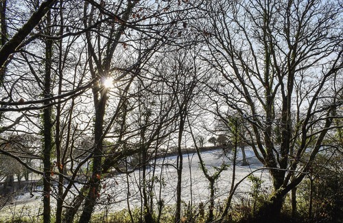 Trewen Cottage | 3 bedroom accommodation in Tresmeer, near Launceston
