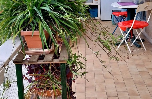 Estanove Apartment | 3 Bedroom Apartment in Montpellier