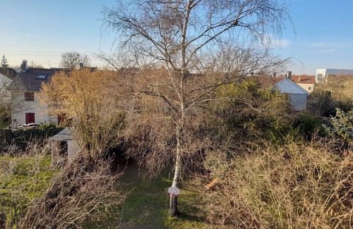La Queue d'Oiseau Apartment | 3 Bedroom Apartment in Orsay
