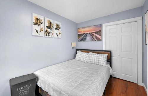 Bristol Apartment | 3 Bedroom Apartment on Forestville Bristol