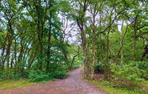 Altenkirchen Apartment | 3 Bedroom Beautiful Apartment In Altenkirchen