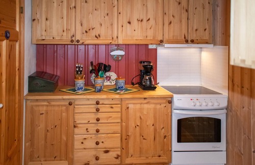 Asnes Municipality House | 3 bedroom beautiful home in Gjesåsen