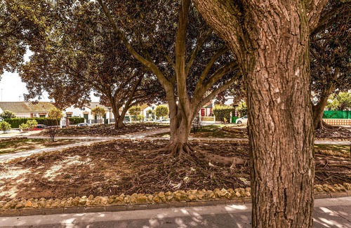 Valbueno Apartment | 3 bedroom cozy apartment in Huelva