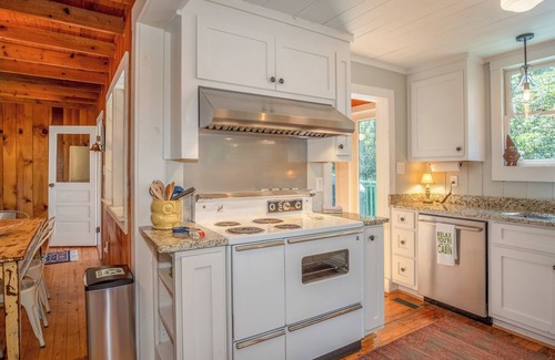 Cedar Mountain Cabin | 3 Bedroom Dog-Friendly Cabin Near Dupont State Forest
