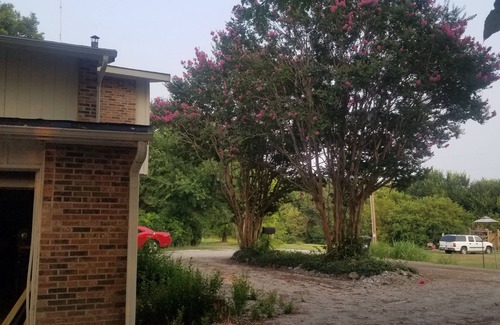 Lavon House | 3 bedroom home walking distance to Lake Lavon