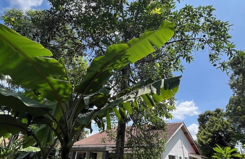 Arusha House | 3-bedroom house in enchanting Arusha with WiFi