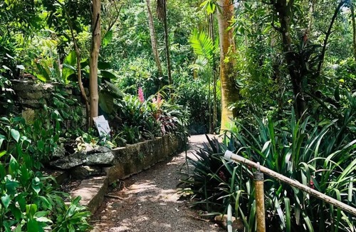 Estate Queens Quarter House | 3-bedroom house in lovely St Thomas with WiFi, AC,grill area, beach toys,games