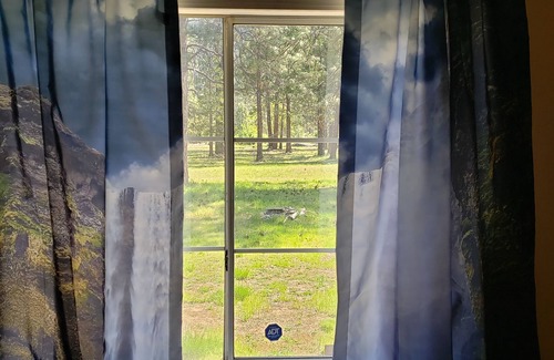 Coffee Creek House | 3-bedroom mobile home in fabulous Coffee Creek