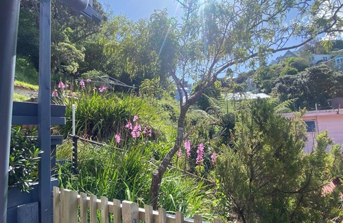Wellington House | 3 Bedroom Passive Haus in the lush Aro Valley