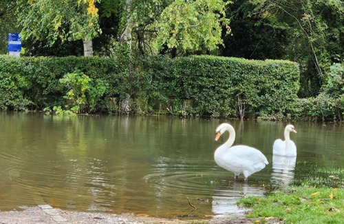Kidlington Other | 3-Bedroom Swan Cottage, Canal View, Parking,Oxford