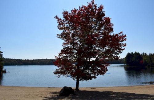 Bracebridge House | 3 Bedroom Waterview Cottage Monarch Blvd 237