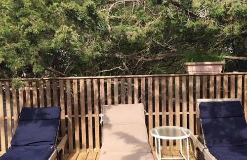 Cherry Grove House | 3 BR Beach House for Rent in Cherry Grove, Fire Island - 3 min walk to ocean