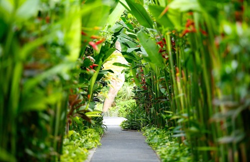Nakula Villa | 3 BR Private Pool Villa, 5 mnts walking to the beach and Seminyak shopping area
