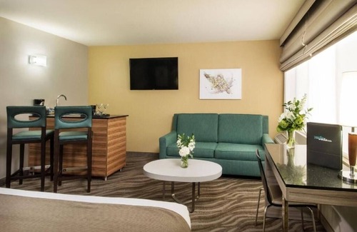 Little Italy Hotel | 3 Eco-Friendly King Suites in Little Italy, Walk to Dining and Trolley