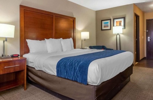 Albuquerque Hotel | 3 Family-Friendly Rooms Near Downtown Attractions + Airport Convenience