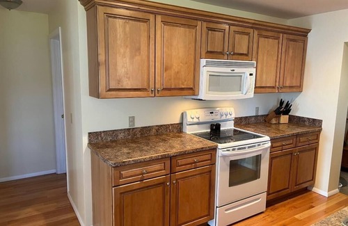 Oscoda House | 3 Full Homes & Game Room-Waterfront Private Retreat on 200 ft. of Van Etten Lake