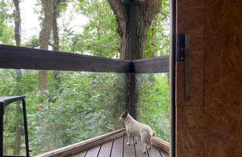 Longhope House | 3 Guests - Pet Friendly - Grid Tree-House