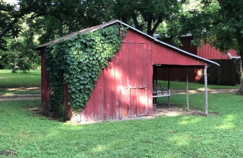 Prairie Lea Other | 3 Houses 30 guests Country 14 acre Pecan Orchard