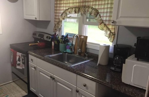 Lakeside House | 3 Lake Cottages , Waterfront for 25 Guests
