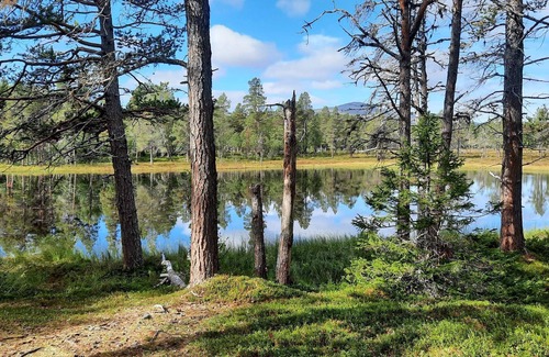 Svenstavik House | 3 person holiday home in Svenstavik