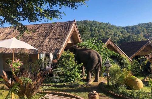 Mae Wang House | 3 Pok Maewang jinxiang Gold elephant park