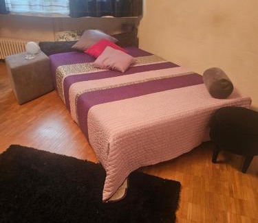 Birsfelden Apartment | 3 und halb zimmer Wohnung Birsfelden