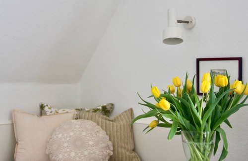 Wenningstedt-Braderup Apartment | 30 m² Apartment ∙ 1 bedroom ∙ 2 guests
