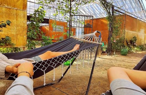 Pargas Other | 300m2 greenhouse