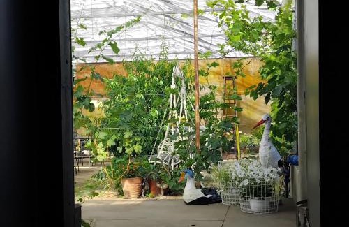 Pargas Other | 300m2 greenhouse