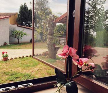 Ronciglione Bed & Breakfast | 32 m² Bed and breakfast ∙ 4 guests
