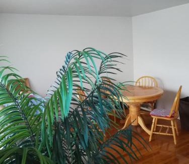 Englewood House | 320 Happy Home