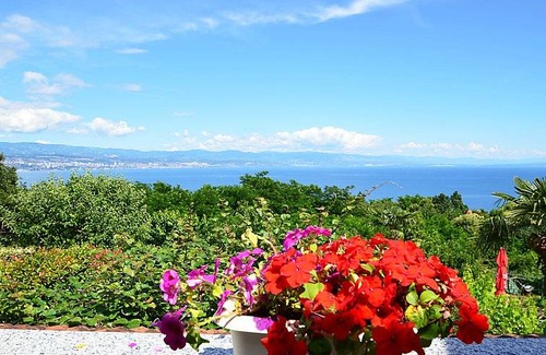 Opric Apartment | 35 m² Apartment ∙ 1 bedroom ∙ 3 guests